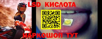 гидропоника Камышлов