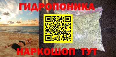 гидропоника Камышлов