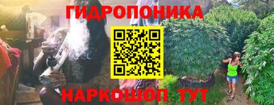 гидропоника Камышлов