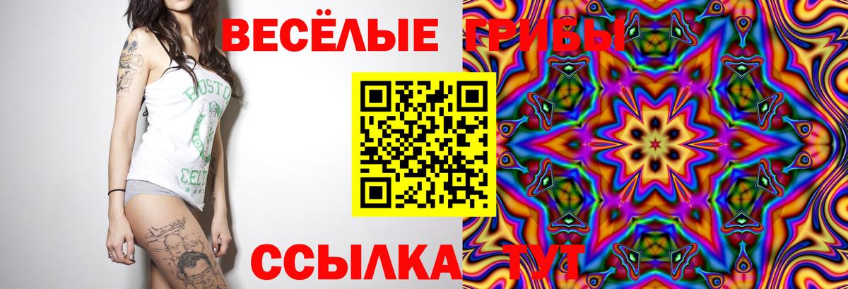 Кинель  Псилоцибиновые грибы Cubensis  Вход с VPN 